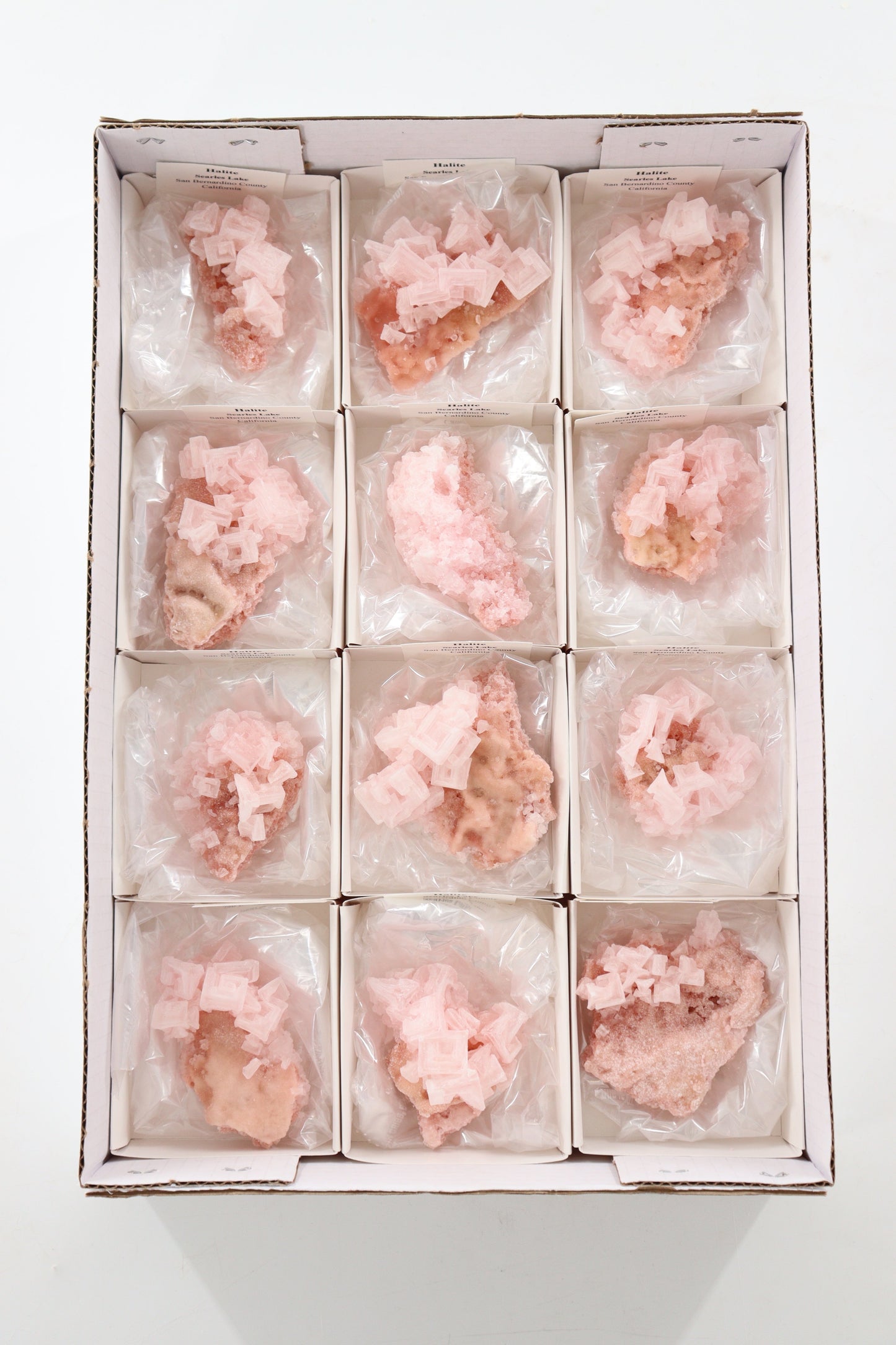 Halite Flat - Expert Supplier of Wholesale Crystals & Bulk Gemstones