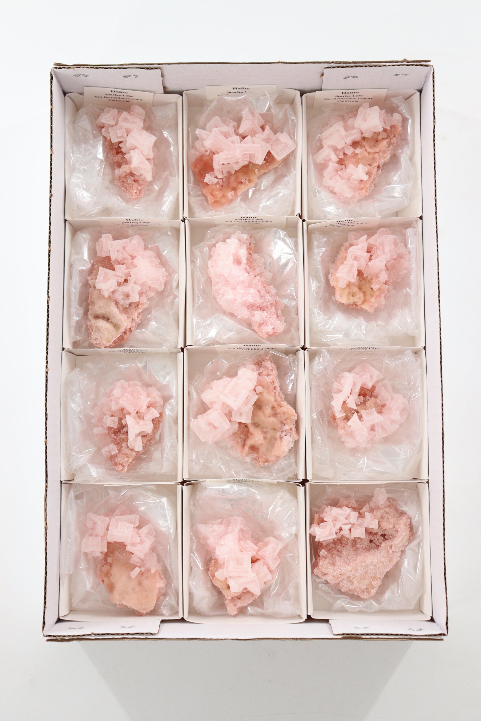Halite Flat - Expert Supplier of Wholesale Crystals & Bulk Gemstones