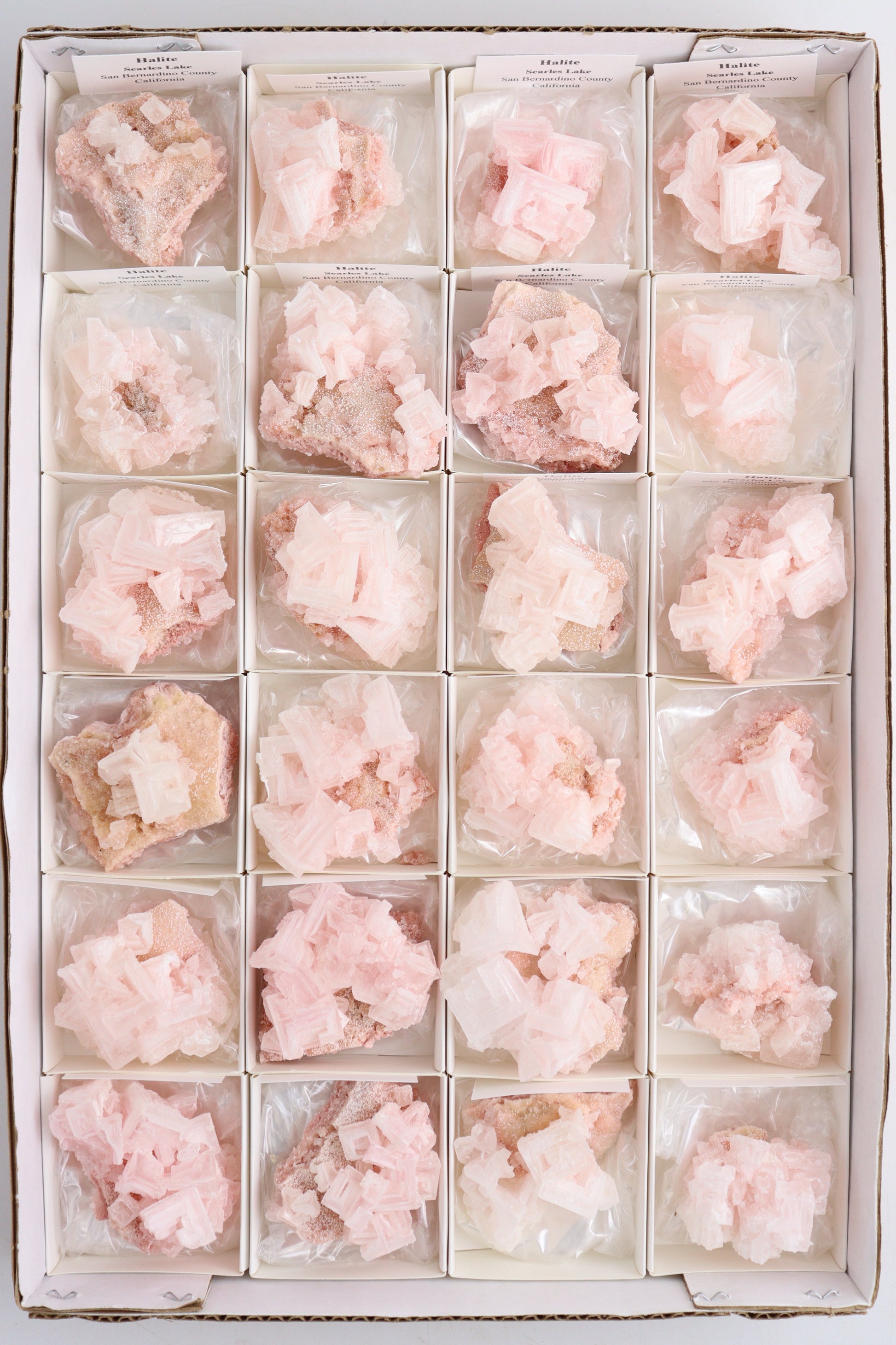 Halite Flat - Expert Supplier of Wholesale Crystals & Bulk Gemstones