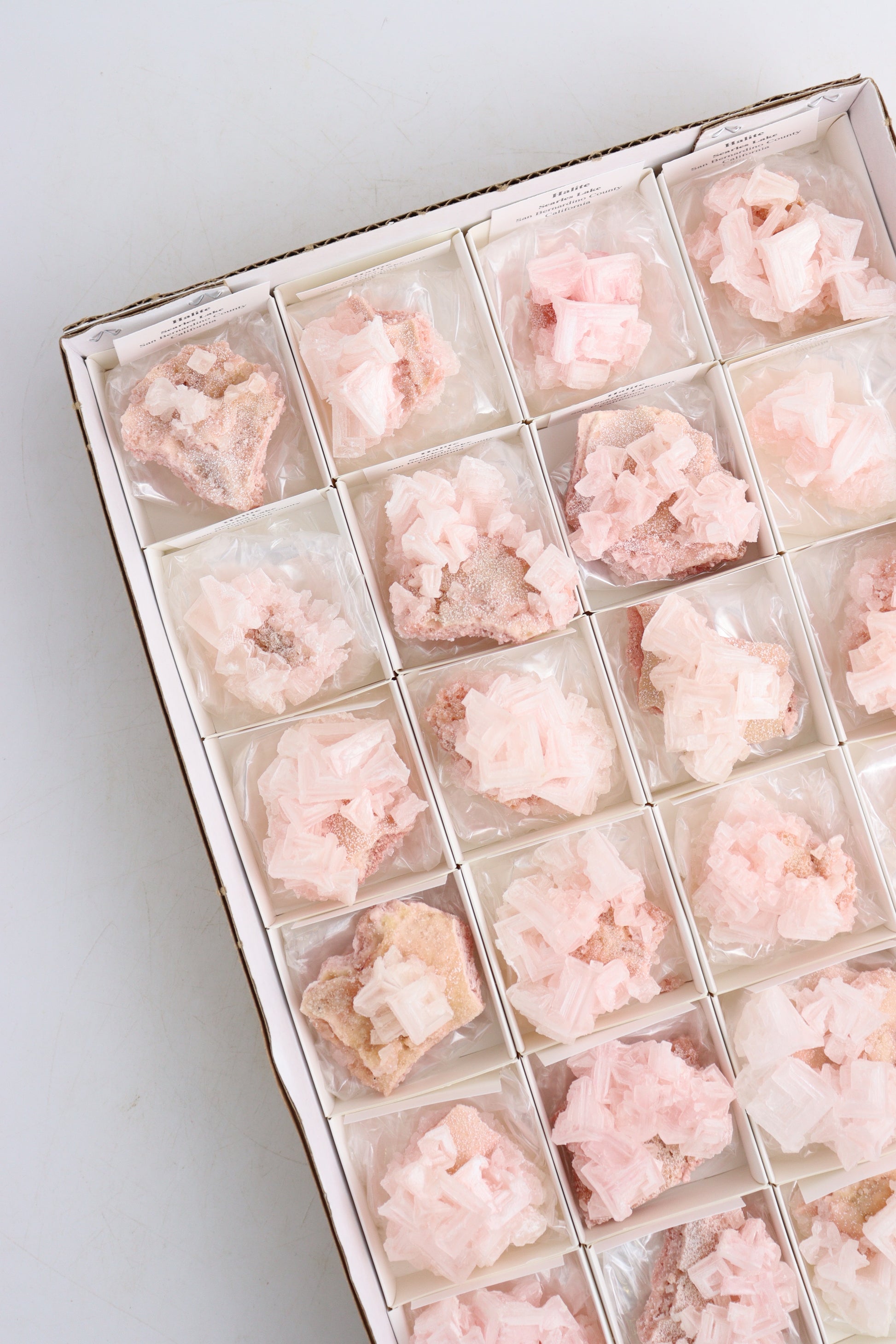 Halite Flat - Expert Supplier of Wholesale Crystals & Bulk Gemstones