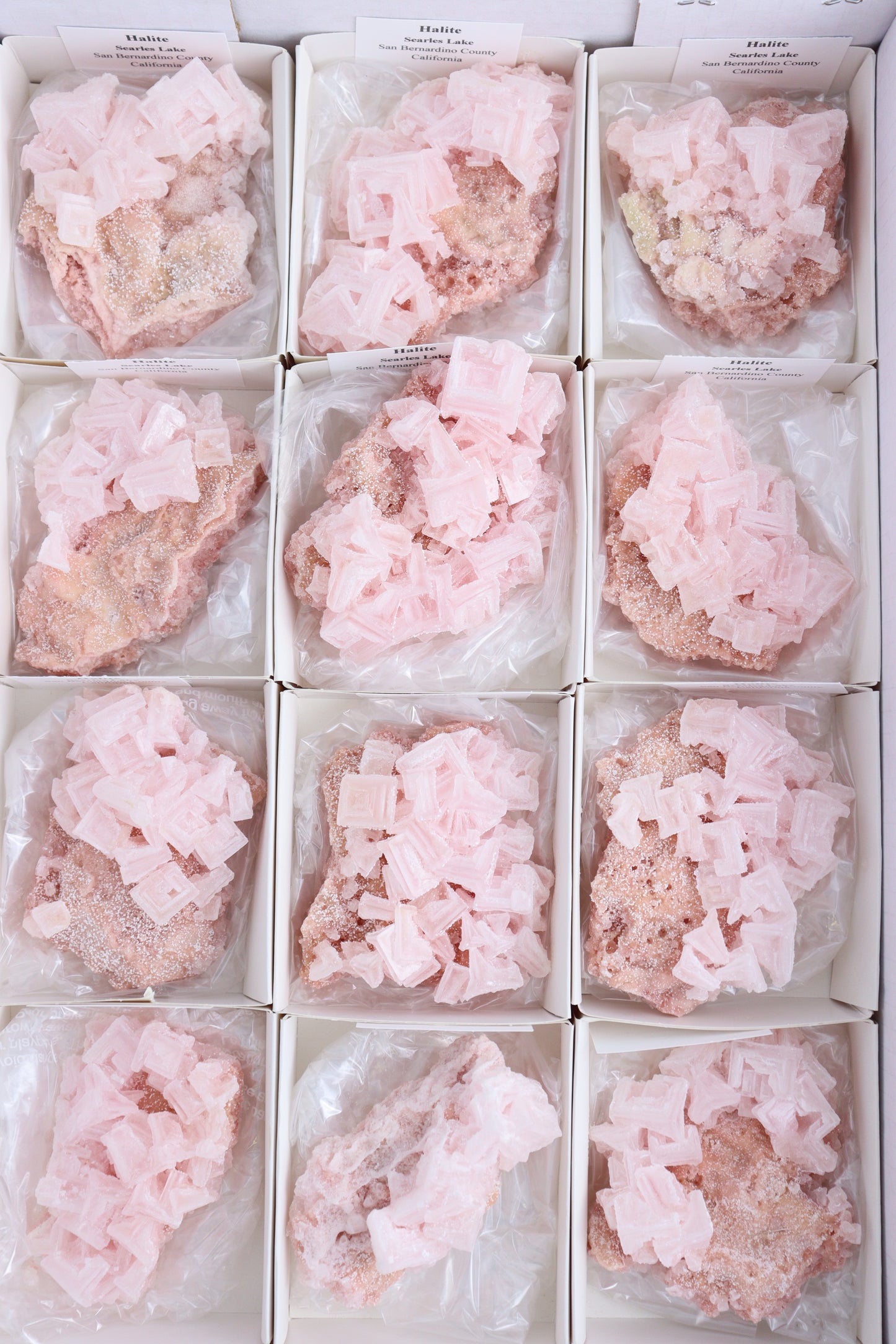 Halite Flats - Expert Supplier of Wholesale Crystals & Bulk Gemstones