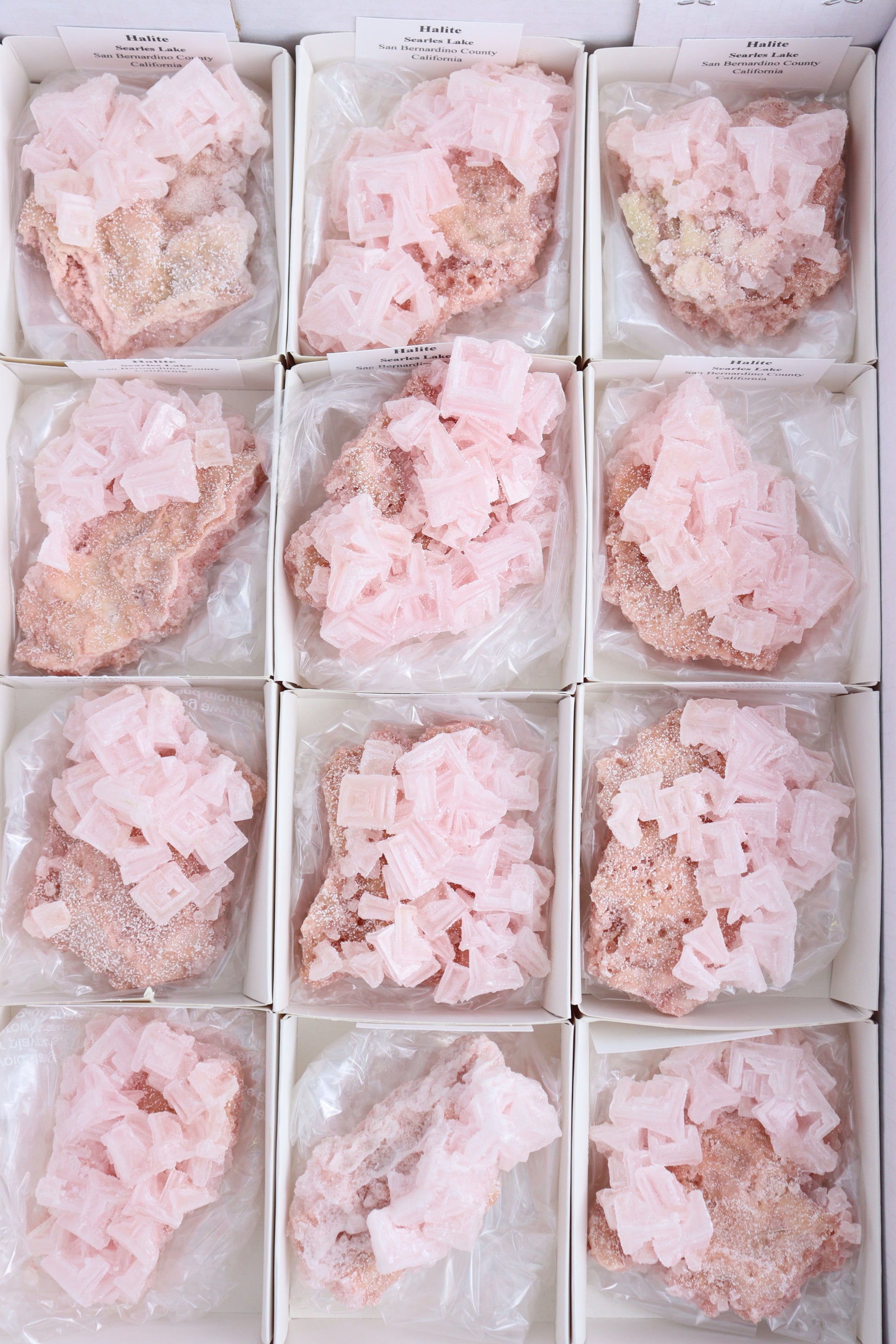 Halite Flats - Expert Supplier of Wholesale Crystals & Bulk Gemstones