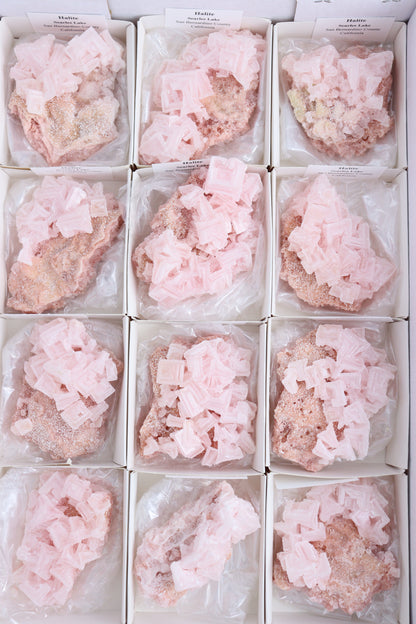 Halite Flats - Expert Supplier of Wholesale Crystals & Bulk Gemstones