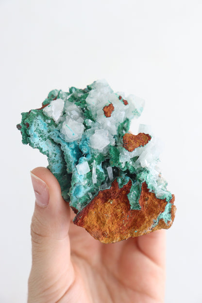 Hemimorphite Cluster Flat - Expert Supplier of Wholesale Crystals & Bulk Gemstones