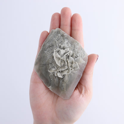 Selenite Clusters Set of 12 - Expert Wholesale and Supplier of Wholesale Crystals & Bulk Gemstones, ["Clusters","selenite"]