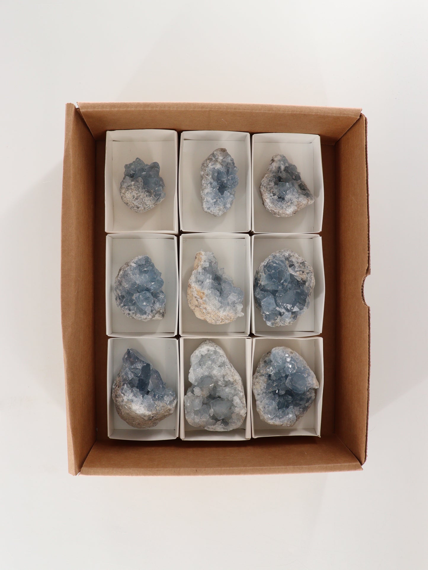 Celestite Clusters Set of 9 - Expert Wholesale and Supplier of Wholesale Crystals & Bulk Gemstones, []