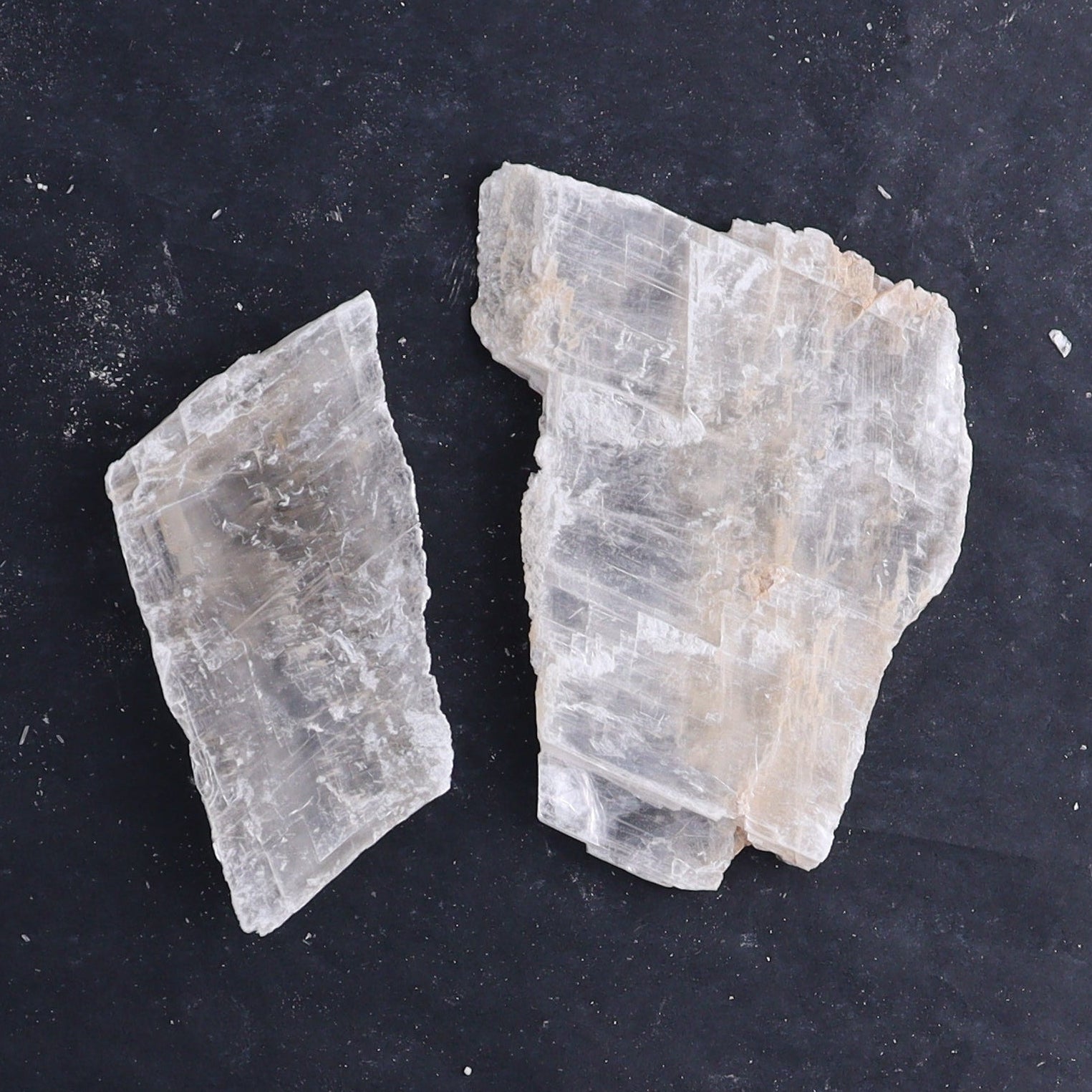 Selenite Slices Set of 8 - Expert Wholesale and Supplier of Wholesale Crystals & Bulk Gemstones, ["selenite","Slices and Slabs"]