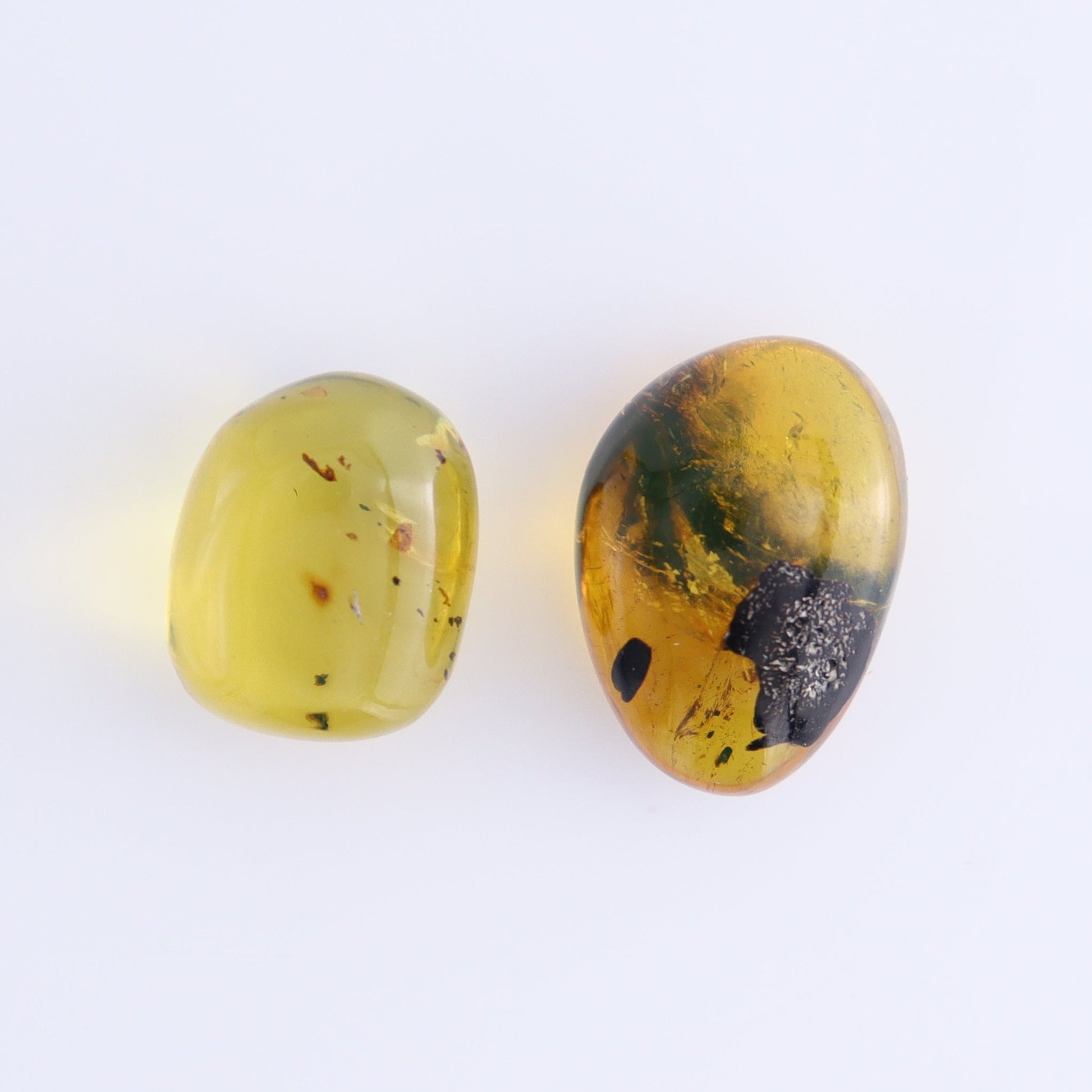 Chiapas Mexico Amber Freeforms Set of 8 - Expert Wholesale and Supplier of Wholesale Crystals & Bulk Gemstones, ["Amber","Chiapas Amber","Freeform","Freeforms","Mexico"]