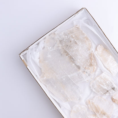 Selenite Slices Set of 6 - Expert Wholesale and Supplier of Wholesale Crystals & Bulk Gemstones, ["selenite","Slices and Slabs"]