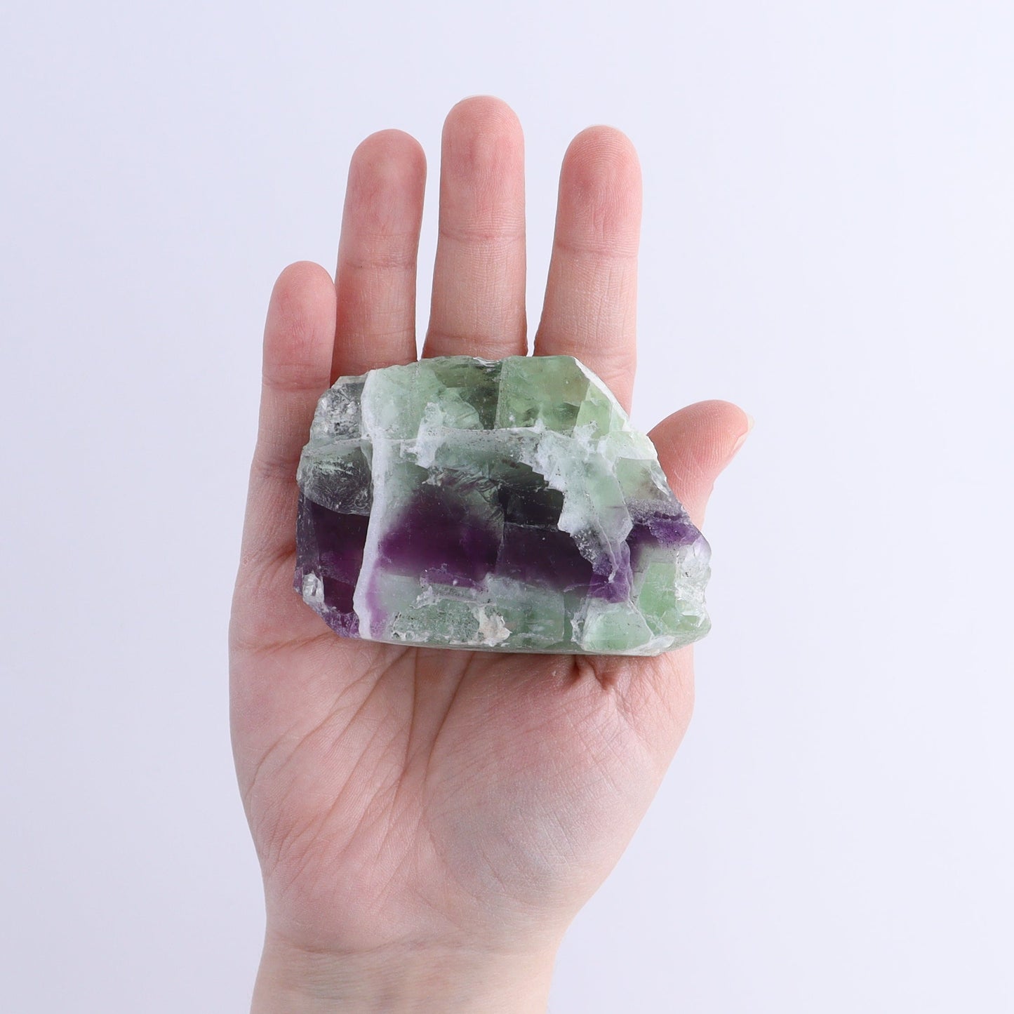Fluorite Face Polished Set of 8 - Expert Wholesale and Supplier of Wholesale Crystals & Bulk Gemstones, ["Face Polished","Fluorite","Mexico"]