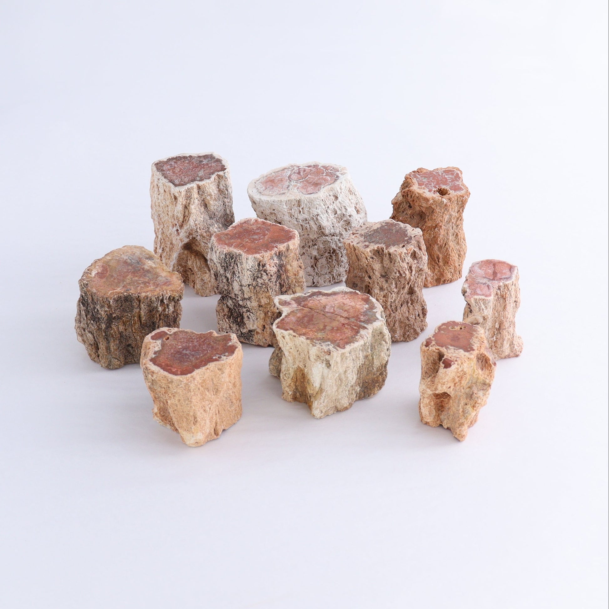 Petrified Wood Cut Bases Set of 10 - Expert Wholesale and Supplier of Wholesale Crystals & Bulk Gemstones, ["Cut Base","Petrified Wood"]