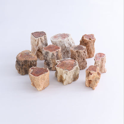 Petrified Wood Cut Bases Set of 10 - Expert Wholesale and Supplier of Wholesale Crystals & Bulk Gemstones, ["Cut Base","Petrified Wood"]