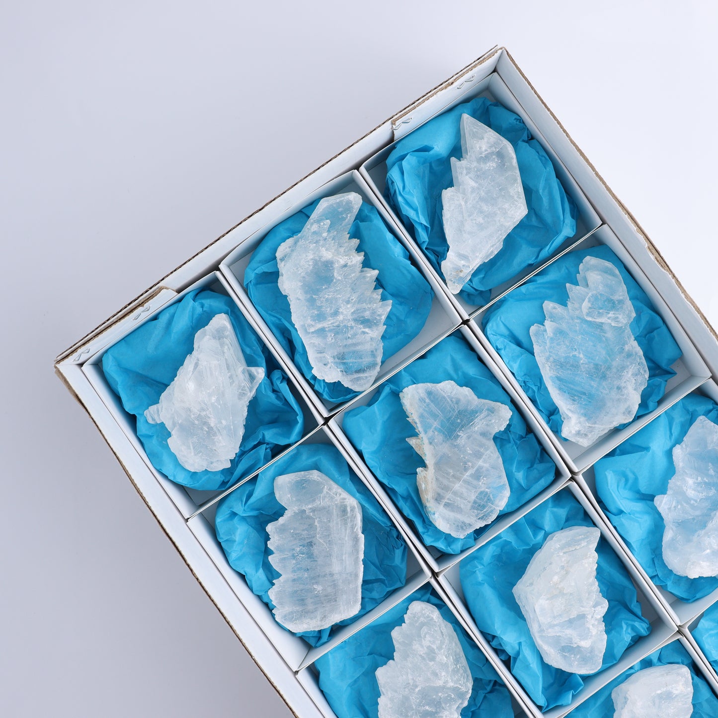 Selenite Set of 12 - Expert Wholesale and Supplier of Wholesale Crystals & Bulk Gemstones, ["Rough","selenite"]