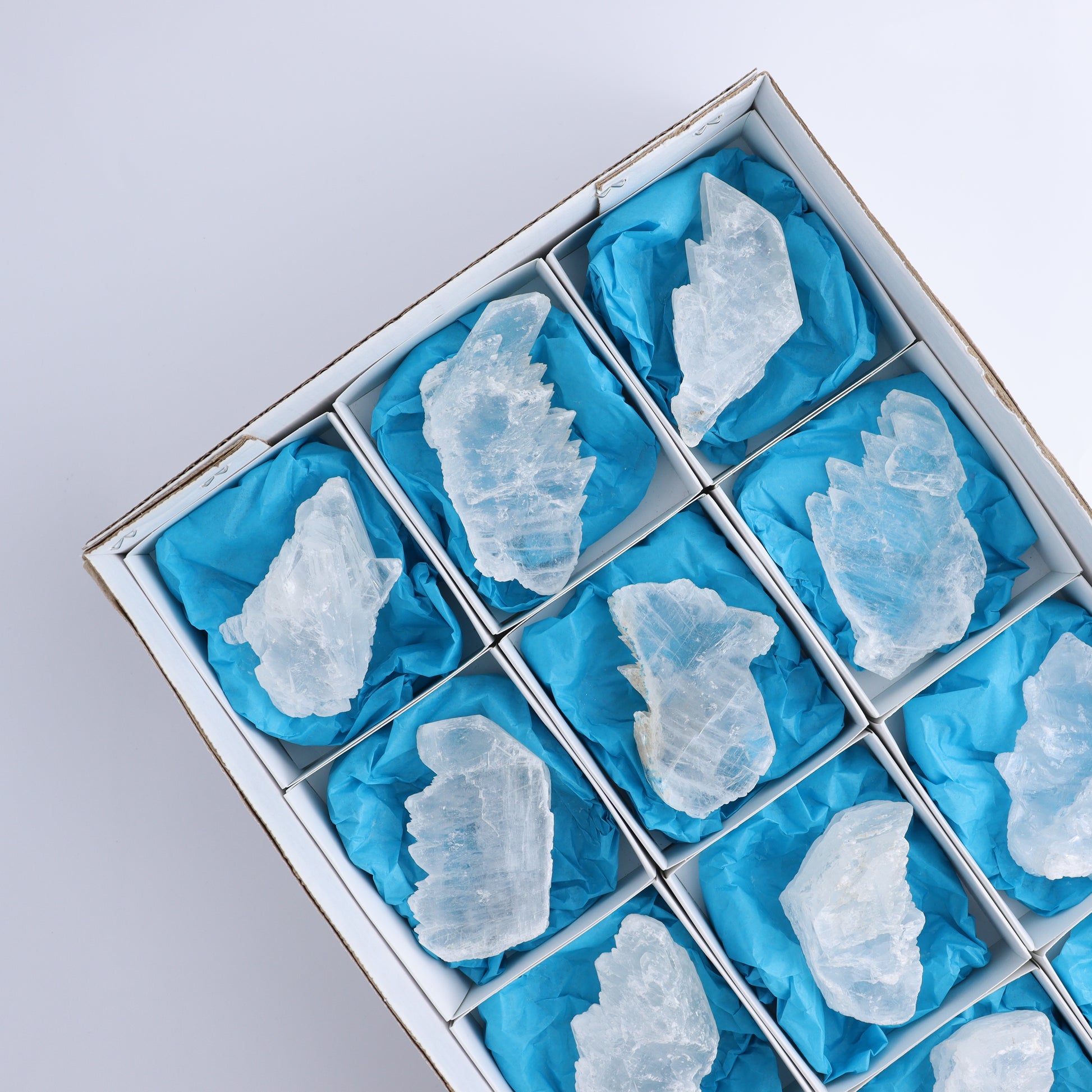 Selenite Set of 12 - Expert Wholesale and Supplier of Wholesale Crystals & Bulk Gemstones, ["Rough","selenite"]