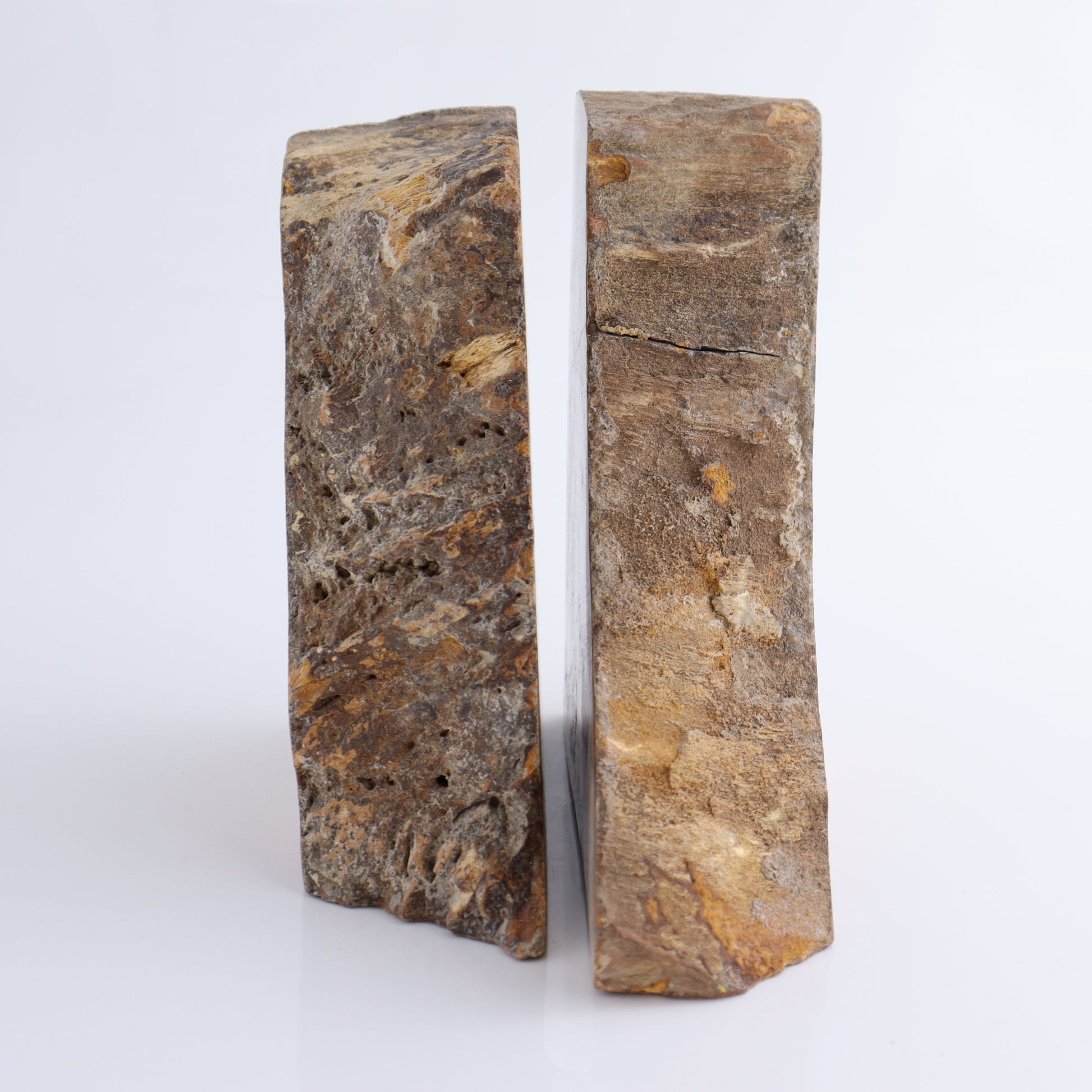 Bookends Petrified Wood - Expert Wholesale and Supplier of Wholesale Crystals & Bulk Gemstones, ["Bookends","Indonesia","Petrified Wood"]