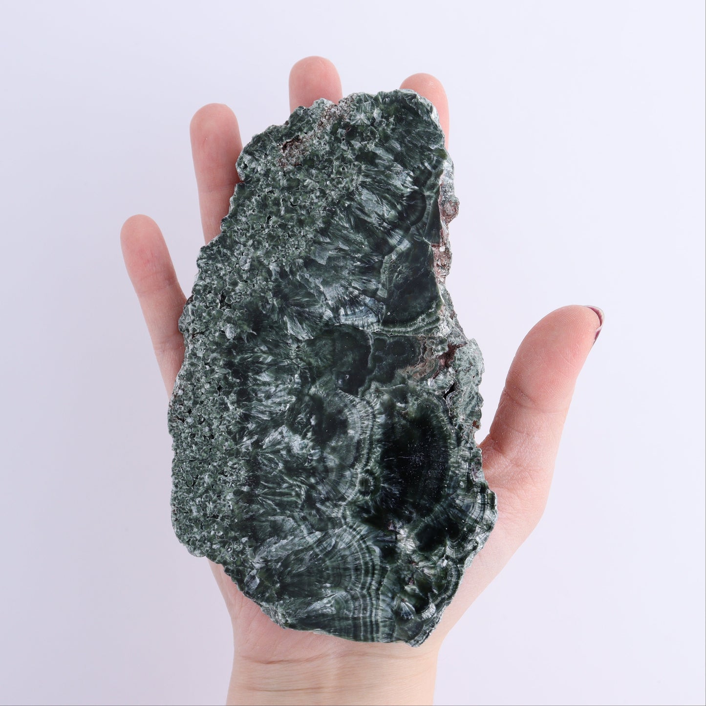Seraphinite Slices Set of 3 - Expert Wholesale and Supplier of Wholesale Crystals & Bulk Gemstones, ["Russia","Seraphinite","Slices and Slabs"]