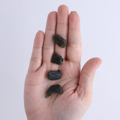 Moldavite Pieces Set of 6 - Expert Wholesale and Supplier of Wholesale Crystals & Bulk Gemstones, ["Czech Republic","Moldavite","Pieces"]