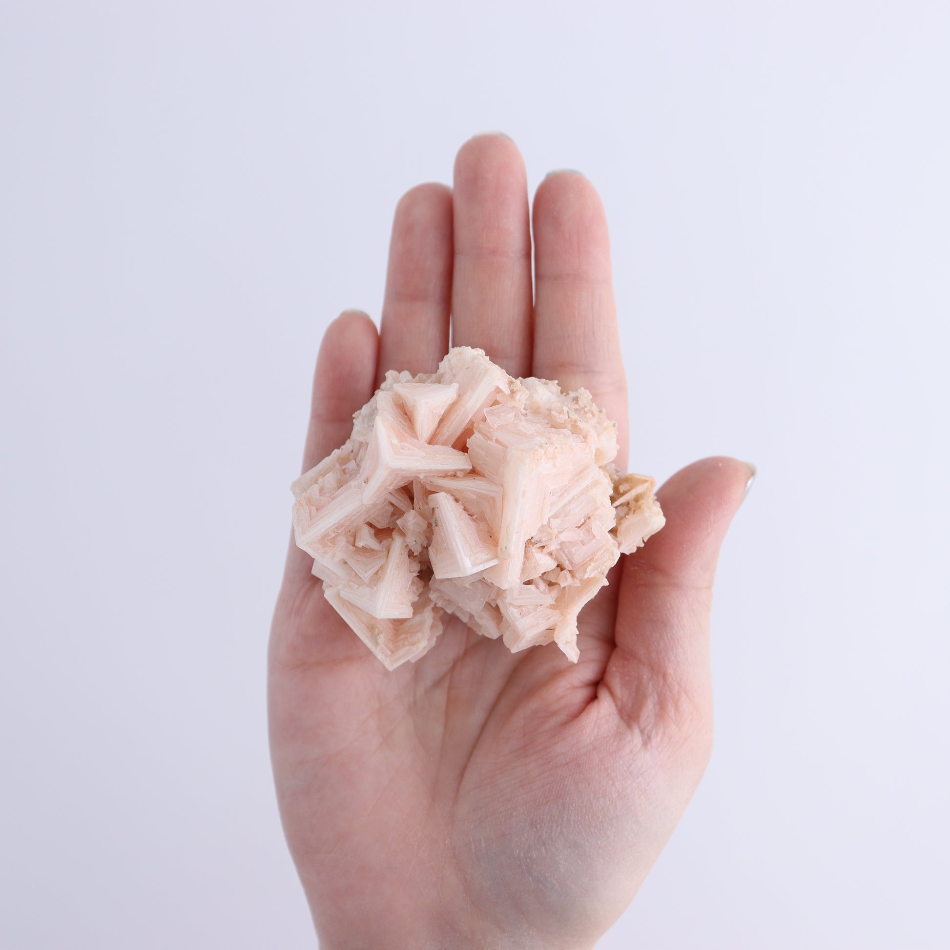 Halite on Trona from Owens Lake Set of 12 - Expert Wholesale and Supplier of Wholesale Crystals & Bulk Gemstones, ["California","Flats","Halite","halite on trona","Pink Halite","United States"]
