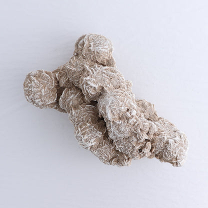 Desert Rose Set of 2