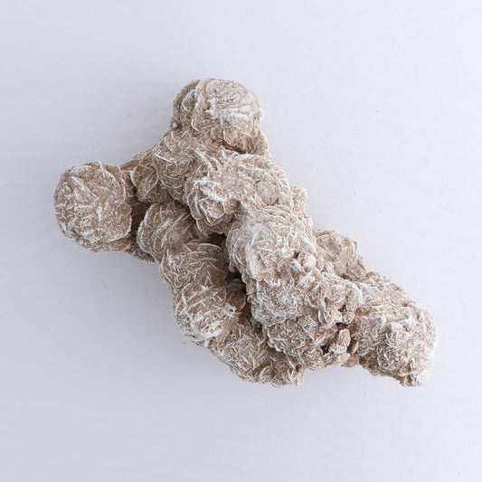 Desert Rose Set of 2