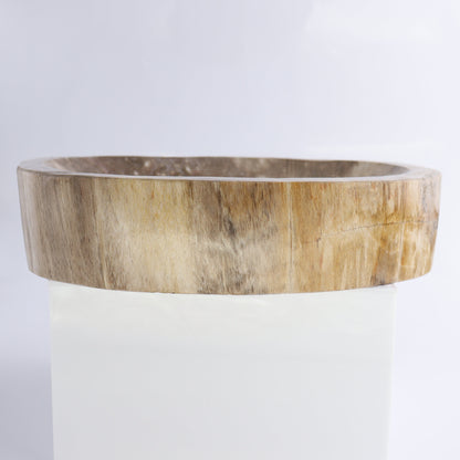 Petrified Wood Bowl - Expert Wholesale and Supplier of Wholesale Crystals & Bulk Gemstones, ["Bowls","Indonesia","Petrified Wood"]