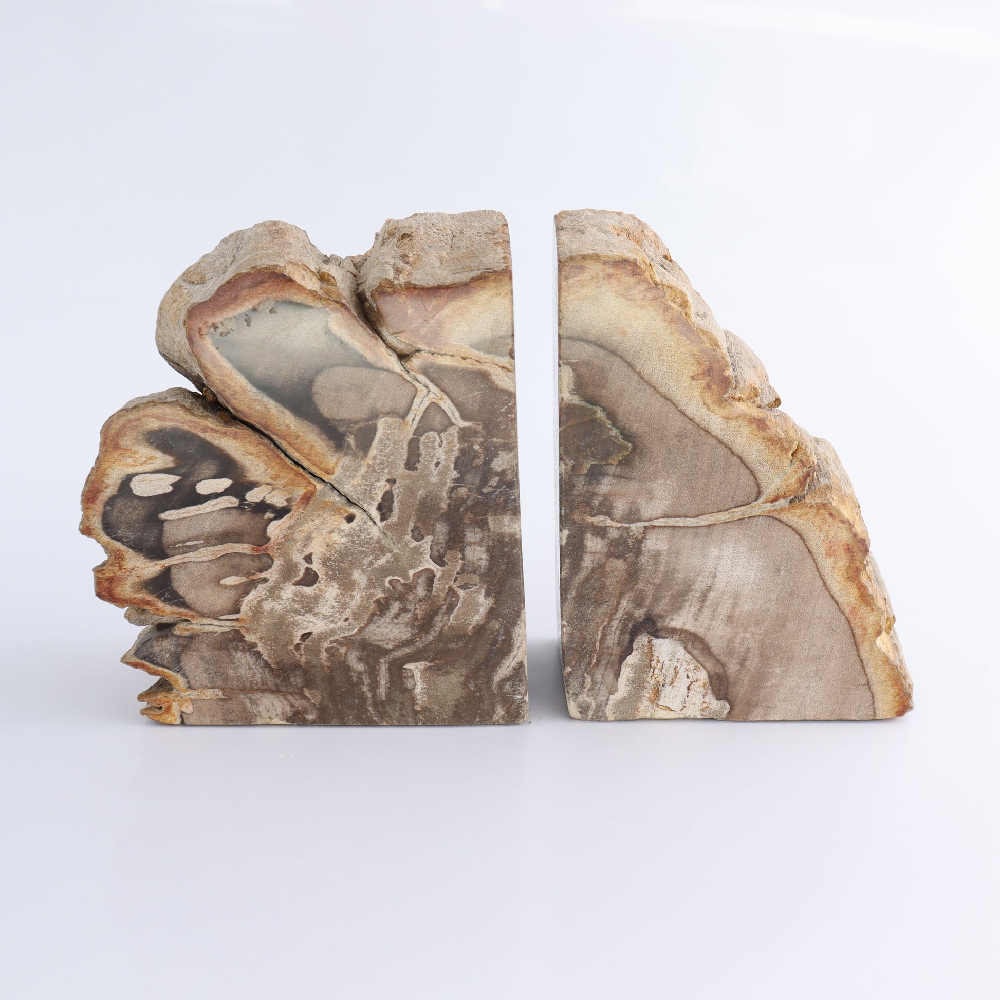 Bookends Petrified Wood - Expert Wholesale and Supplier of Wholesale Crystals & Bulk Gemstones, ["Bookends","Indonesia","Petrified Wood"]