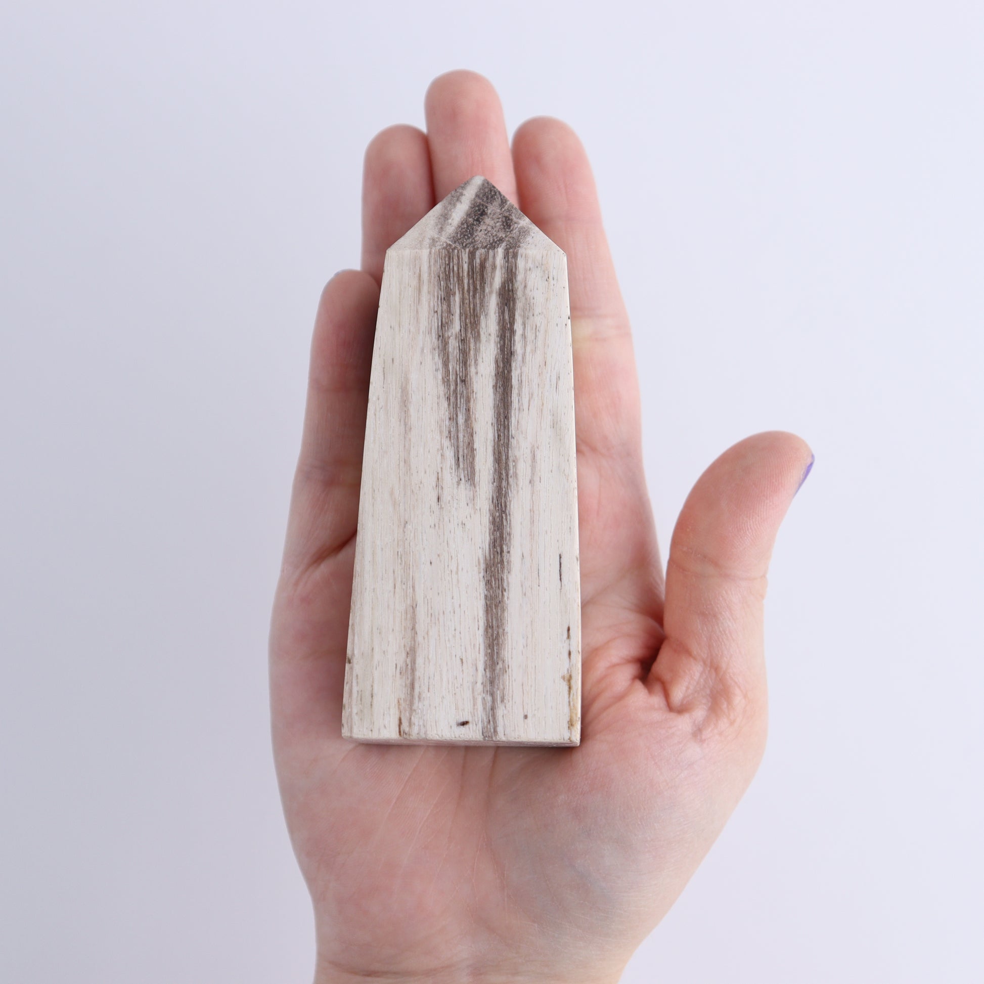Petrified Wood Towers Set of 4 - Expert Wholesale and Supplier of Wholesale Crystals & Bulk Gemstones, ["Indonesia","Petrified Wood","Towers"]