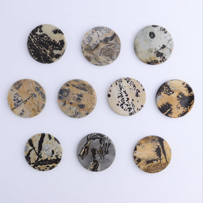 Picture Jasper Discs Set of 10