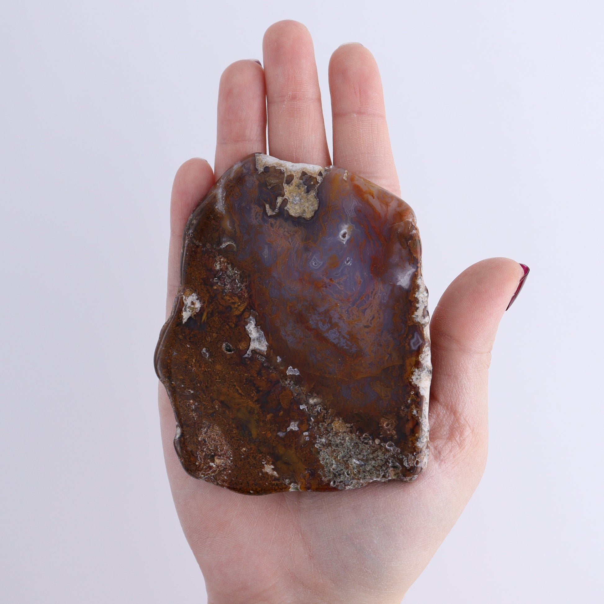 Agate Slices Set of 2 - Expert Wholesale and Supplier of Wholesale Crystals & Bulk Gemstones, ["Agate","Slices and Slabs"]