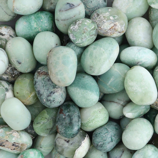 Chrysoprase Tumbles 1 kg Set - Expert Wholesale and Supplier of Wholesale Crystals & Bulk Gemstones, ["Chrysoprase","Indonesia","tumbles"]