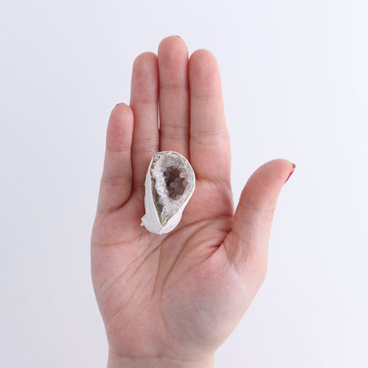 Agate Geodes Flat