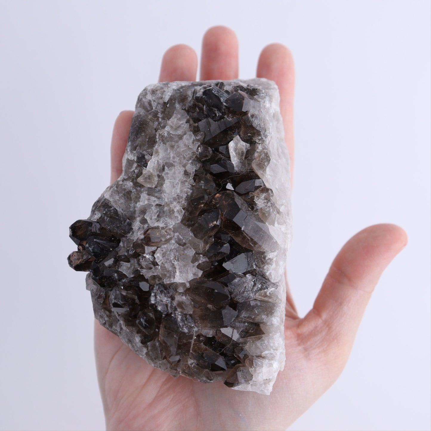 Smoky Quartz Clusters Set of 12 - Expert Wholesale and Supplier of Wholesale Crystals & Bulk Gemstones, ["Brazil","close_70","cluster","Clusters","Quartz","Smoky Quartz"]