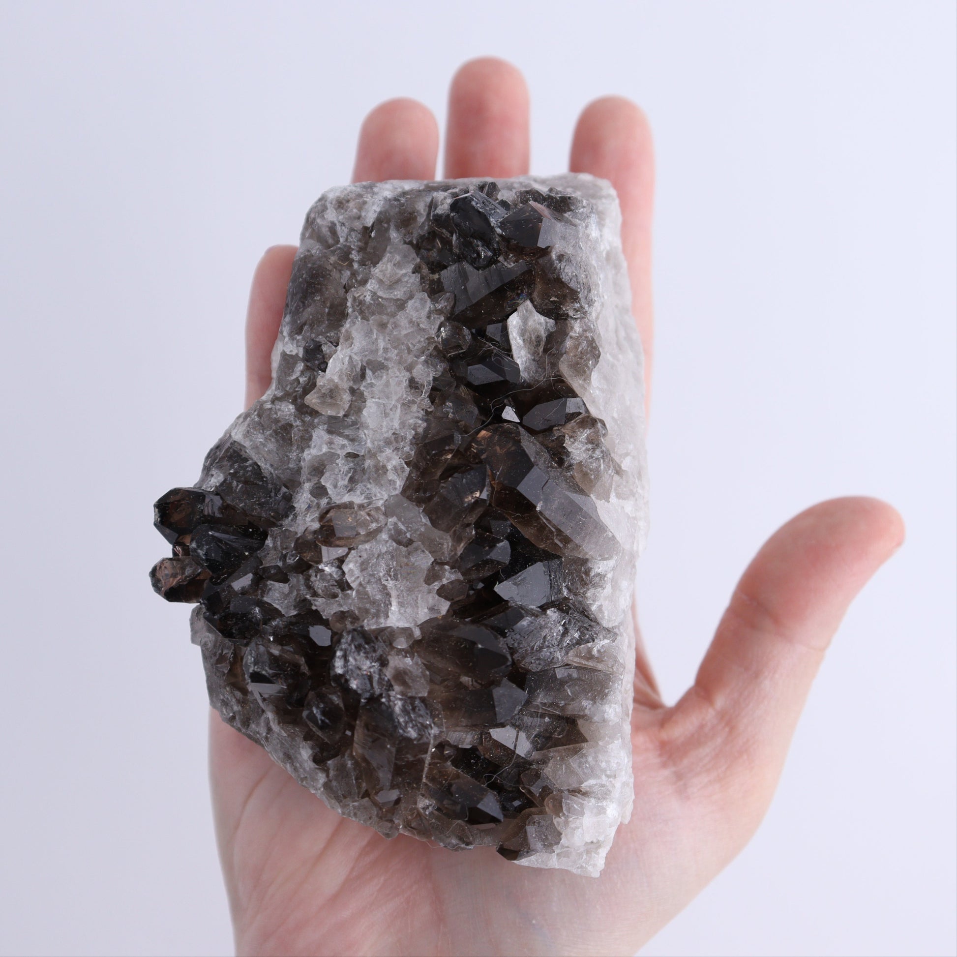 Smoky Quartz Clusters Set of 12 - Expert Wholesale and Supplier of Wholesale Crystals & Bulk Gemstones, ["Brazil","close_70","cluster","Clusters","Quartz","Smoky Quartz"]