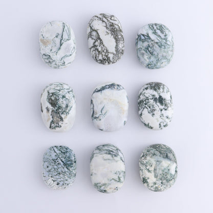 Tree Agate Palm Stones 1 kg Set - Expert Wholesale and Supplier of Wholesale Crystals & Bulk Gemstones, ["Agate","Palm Stones","Tree Agate"]