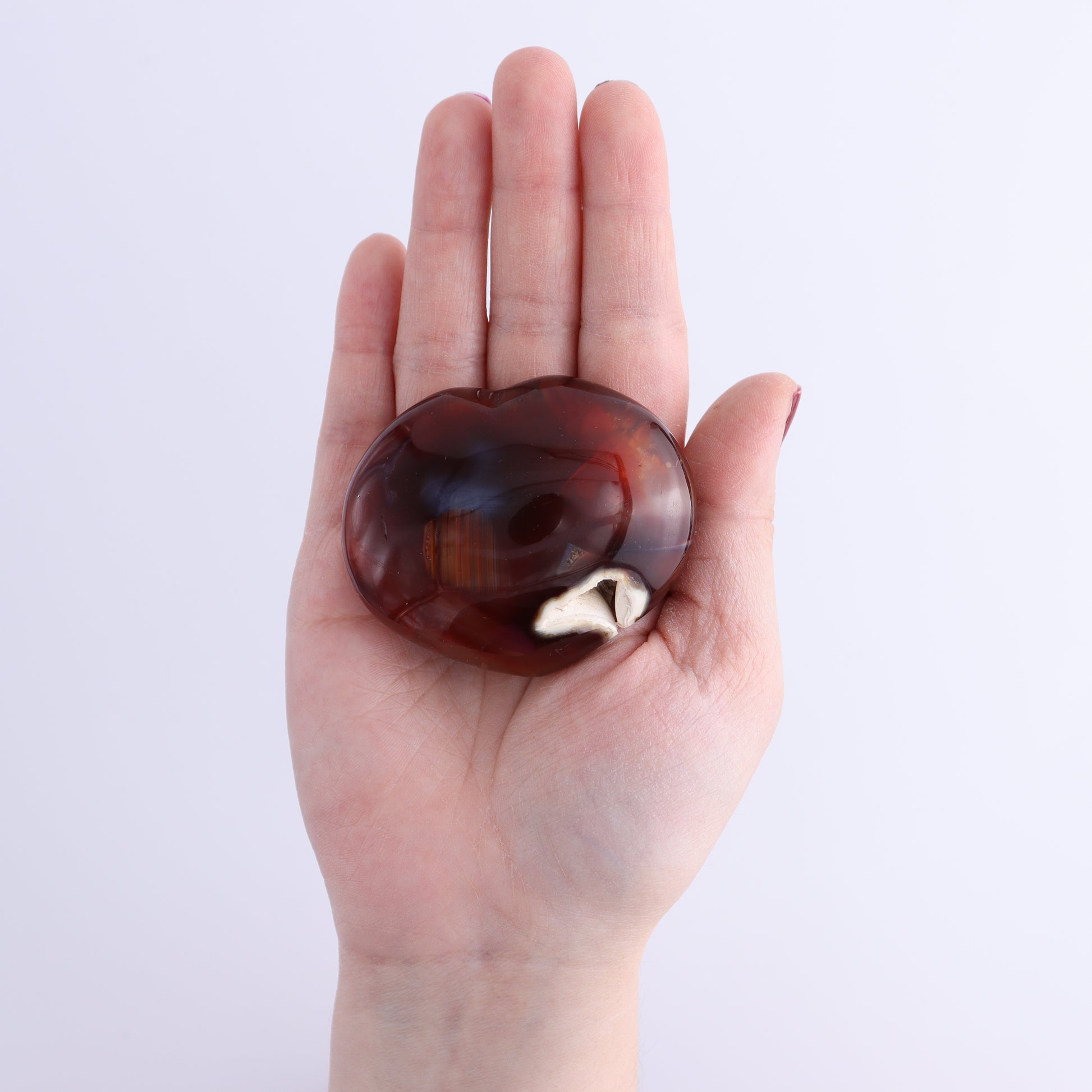 Carnelian Hearts Set of 8 - Expert Wholesale and Supplier of Wholesale Crystals & Bulk Gemstones, ["carnelian","Hearts","Madagascar"]