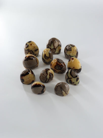 Septarian Freeforms Set of 12 - Expert Wholesale and Supplier of Wholesale Crystals & Bulk Gemstones, []