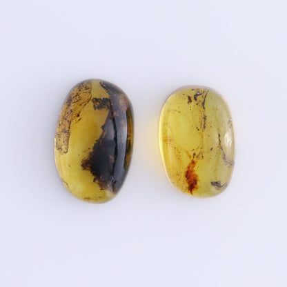 Chiapas Mexico Amber Cabs Set of 8 - Expert Wholesale and Supplier of Wholesale Crystals & Bulk Gemstones, ["Amber","Cabs","Chiapas Amber","Mexico"]