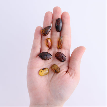 Chiapas Mexico Amber Cabs Set of 8 - Expert Wholesale and Supplier of Wholesale Crystals & Bulk Gemstones, ["Amber","Cabs","Chiapas Amber","Mexico"]