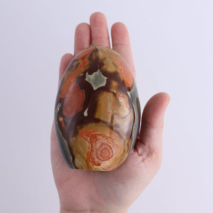 Polychrome Jasper Freeforms Set of 6 - Expert Wholesale and Supplier of Wholesale Crystals & Bulk Gemstones, ["jasper","Madagascar","Polychrome Jasper"]