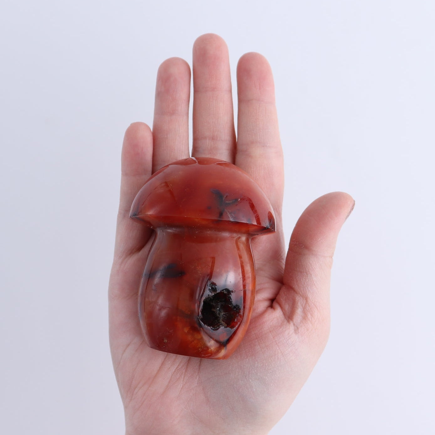 Carnelian Mushrooms Set of 8