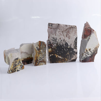 Dendrites Flat Set of 5 - Expert Wholesale and Supplier of Wholesale Crystals & Bulk Gemstones, ["Dendrite","Flats"]