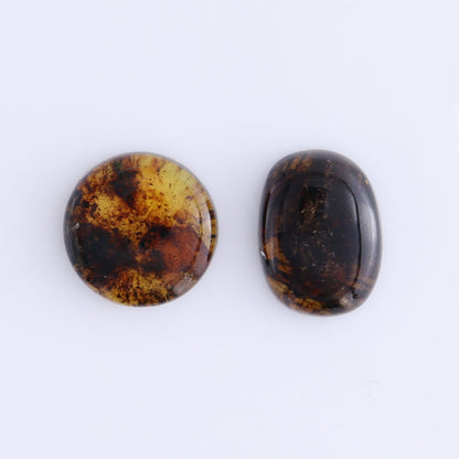 Chiapas Mexico Amber Cabs Set of 8 - Expert Wholesale and Supplier of Wholesale Crystals & Bulk Gemstones, ["Amber","Cabs","Chiapas Amber","Mexico"]