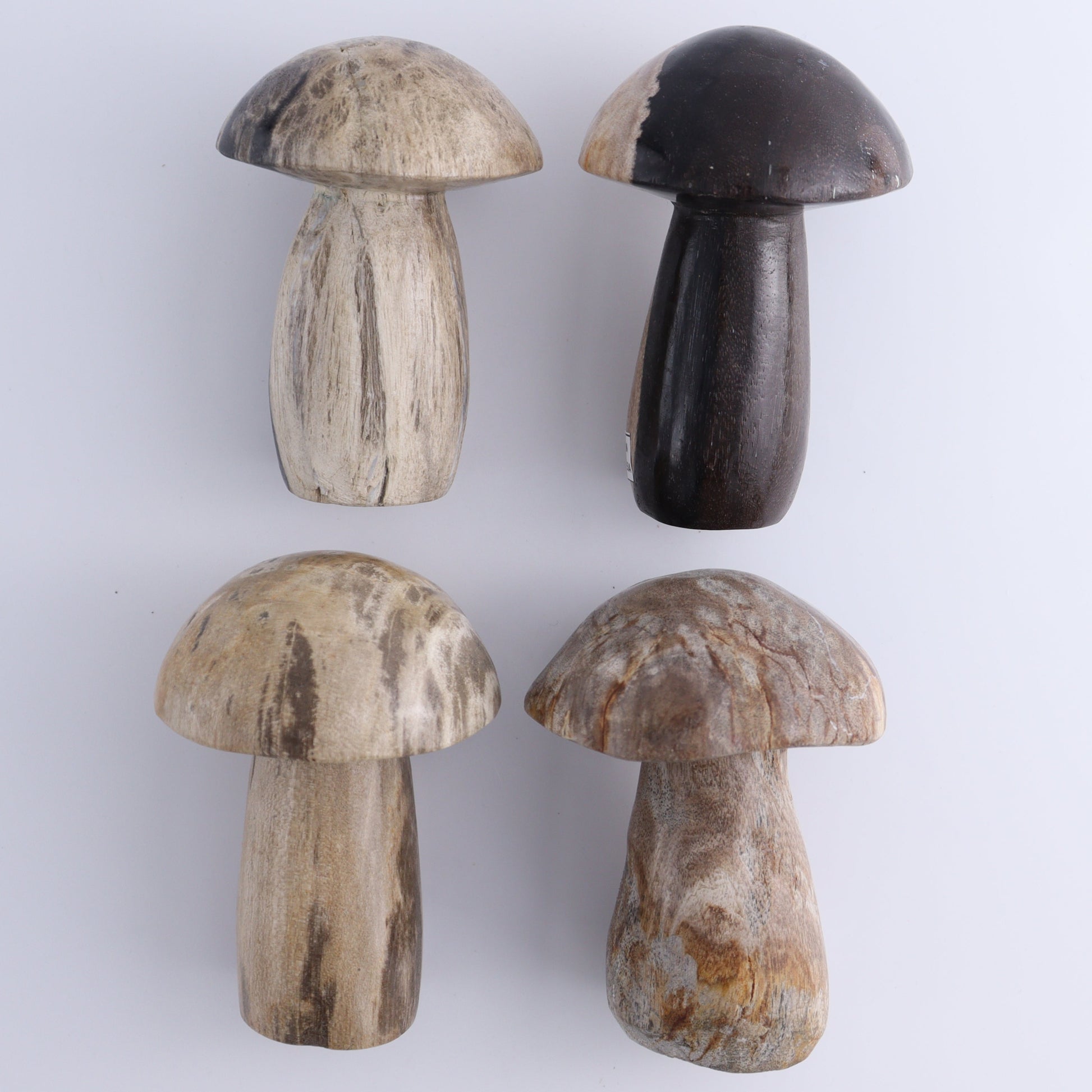 Petrified Wood Mushrooms Set of 4 - Expert Wholesale and Supplier of Wholesale Crystals & Bulk Gemstones, ["Indonesia","Mushrooms","Petrified Wood"]