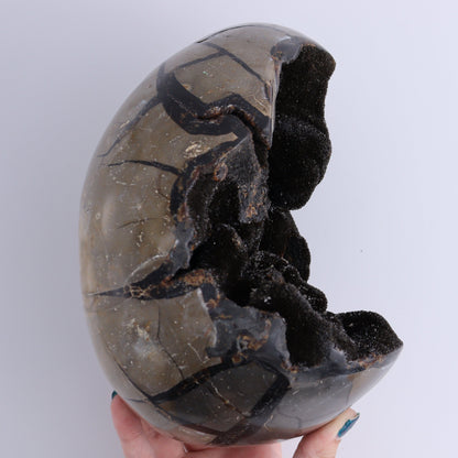 Septarian Egg - Expert Wholesale and Supplier of Wholesale Crystals & Bulk Gemstones, ["Eggs","Septarian"]