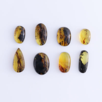 Chiapas Mexico Amber Cabs Set of 8 - Expert Wholesale and Supplier of Wholesale Crystals & Bulk Gemstones, ["Amber","Cabs","Chiapas Amber","Mexico"]