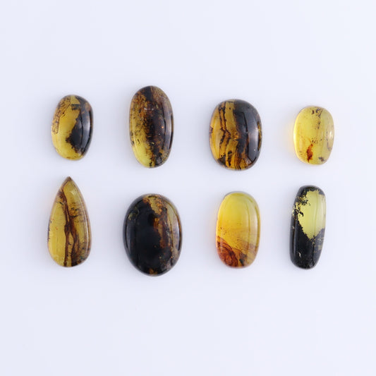 Chiapas Mexico Amber Cabs Set of 8