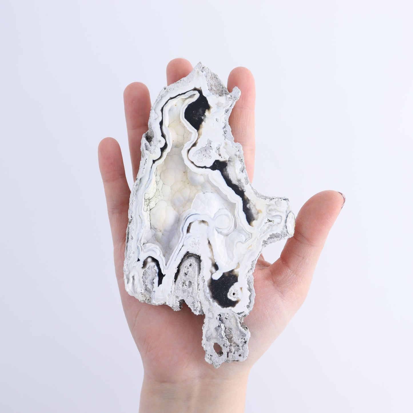 Agatized Coral Flat - Expert Wholesale and Supplier of Wholesale Crystals & Bulk Gemstones, ["Agate","Agatized Coral","Coral","United States"]