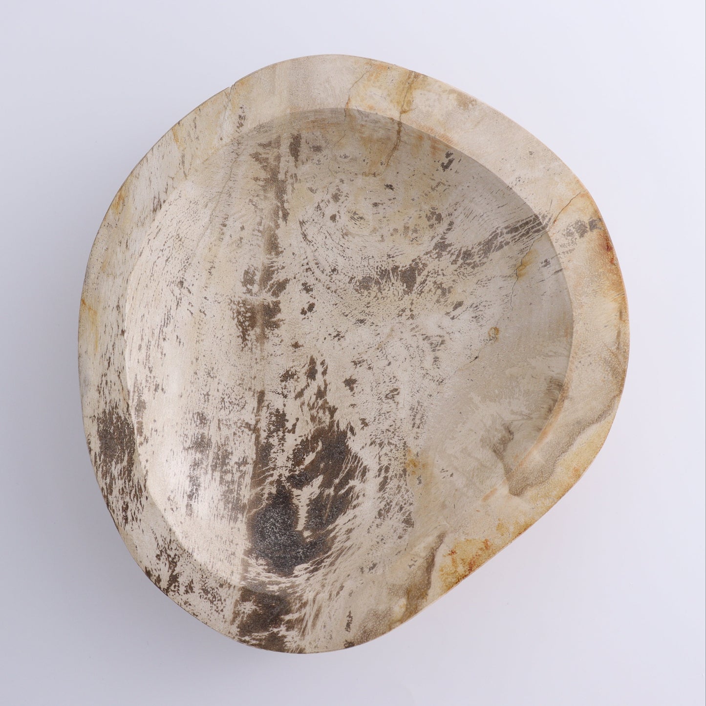 Petrified Wood Bowl - Expert Wholesale and Supplier of Wholesale Crystals & Bulk Gemstones, ["Bowls","Indonesia","Petrified Wood"]