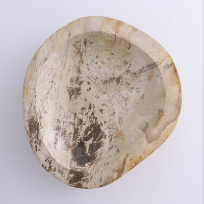Petrified Wood Bowl - Expert Wholesale and Supplier of Wholesale Crystals & Bulk Gemstones, ["Bowls","Indonesia","Petrified Wood"]