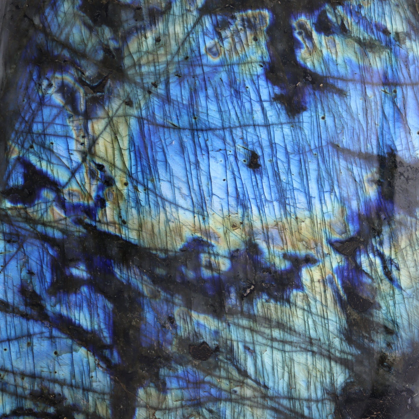 Labradorite Freeform - Expert Wholesale and Supplier of Wholesale Crystals & Bulk Gemstones, ["close_70","Freeforms","Labradorite","Madagascar"]